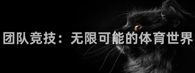 欧亿体育官方正版app集团官网首页网址：团队竞技：无