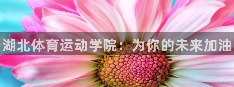 欧亿体育官方正版app开户：湖北体育运动学院：为你的未来加油