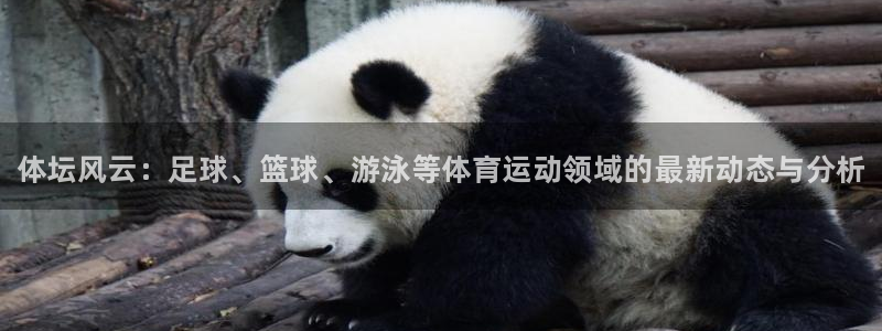 德国欧亿体育官方正版app集团：体坛风云：足球、篮球、游泳等