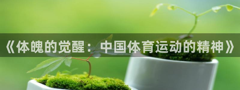 oety欧亿体育官网下载是干嘛的公司：《体魄的觉醒：