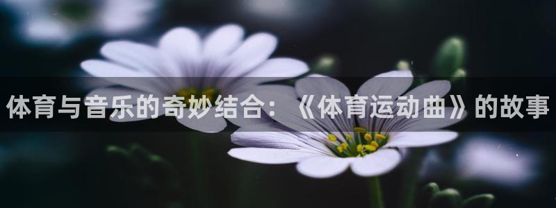 欧亿体育官方正版app官网：体育与音乐的奇妙结合：《体育运动