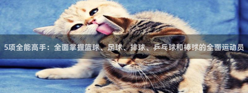 欧亿体育官方正版app官方：5项全能高手：全面掌握篮