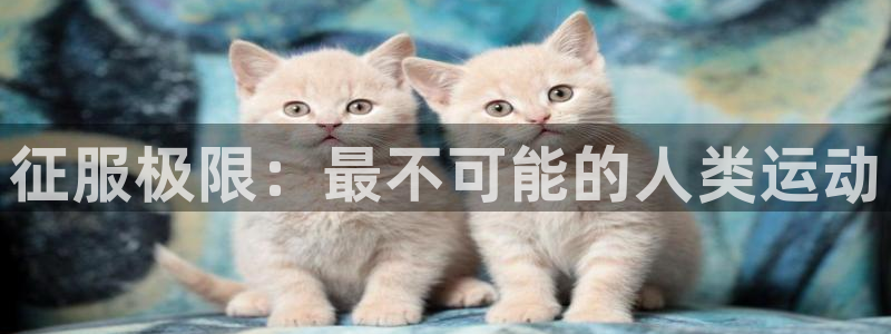 oety欧亿体育官网下载平台注册流程视频：征服极限：