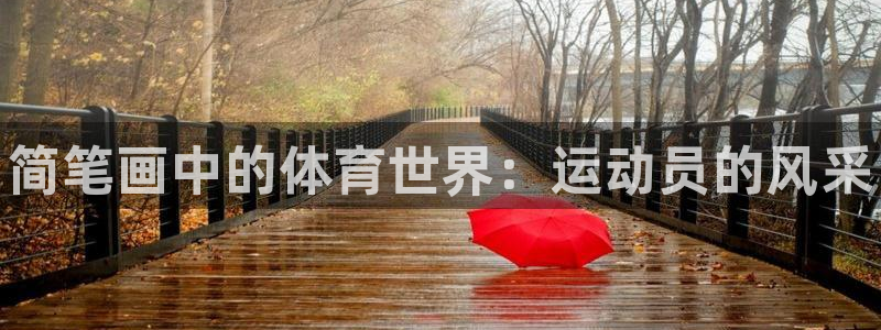 欧亿体育官方正版app集团：简笔画中的体育世界：运动