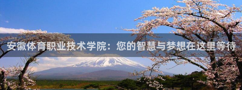 oety欧亿体育官网下载平台