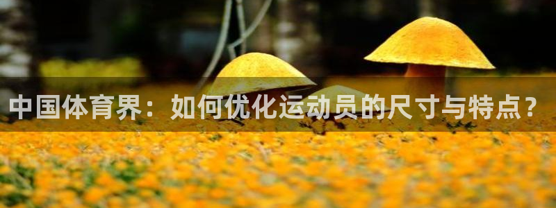 oety欧亿体育官网下载招商电话号码是多少号：中国体