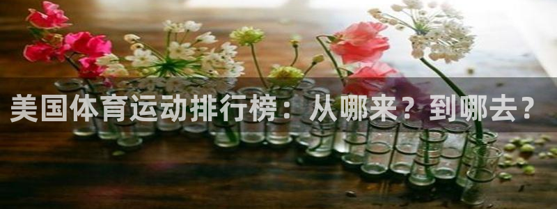 oety欧亿体育官网下载平台是正规平台吗：美国体育运动排行榜