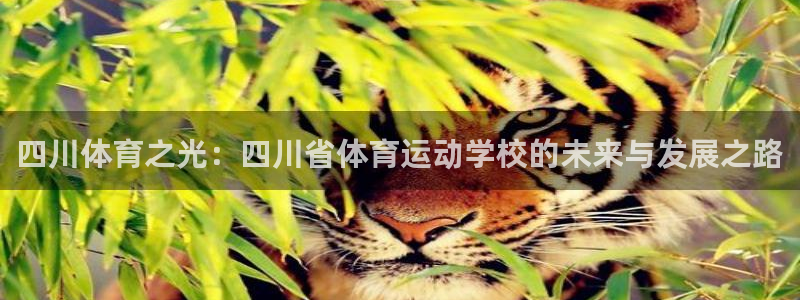 oety欧亿体育官网下载平台是正规平台吗