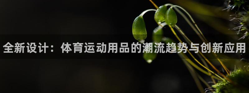 oety欧亿体育官网下载平台是正规平台吗安全吗：全新设计：体