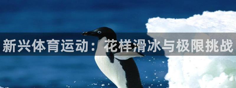 欧亿体育官方正版app集团E.ON：新兴体育运动：花样滑冰与