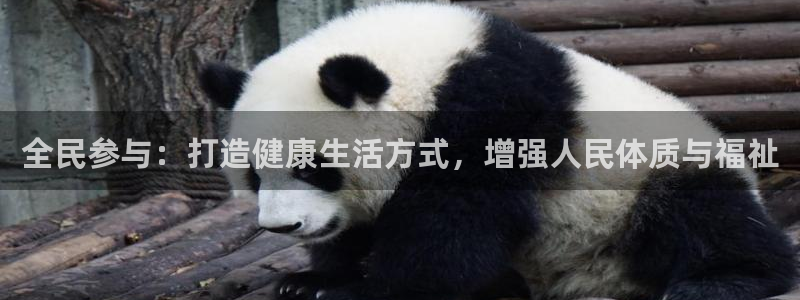 欧亿体育官方正版app娱乐网站：全民参与：打造健康生活方式，