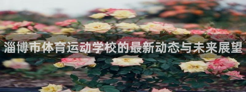 德国欧亿体育官方正版app集团：淄博市体育运动学校的最新动态