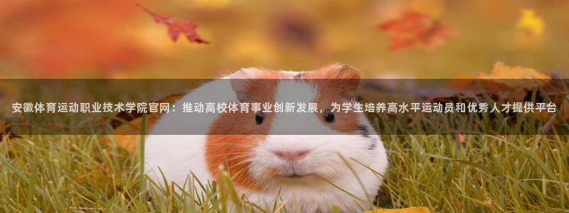 oety欧亿体育官网下载招商电话号码查询：安徽体育运动职业技