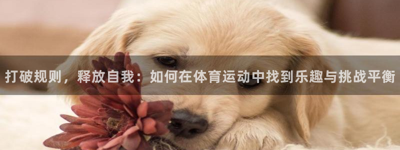 欧亿2夂99399：打破规则，释放自我：如何在体育运动中找到