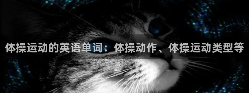 oe欧亿黑彩平台怎么样：体操运动的英语单词：体操动作、体操运